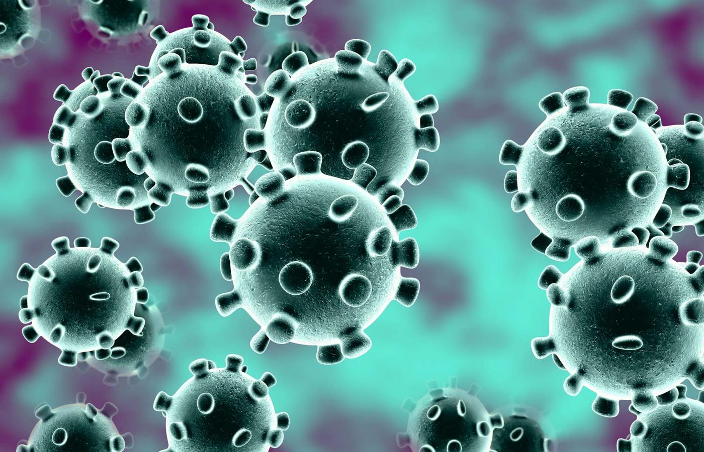 Corona virus.jpg